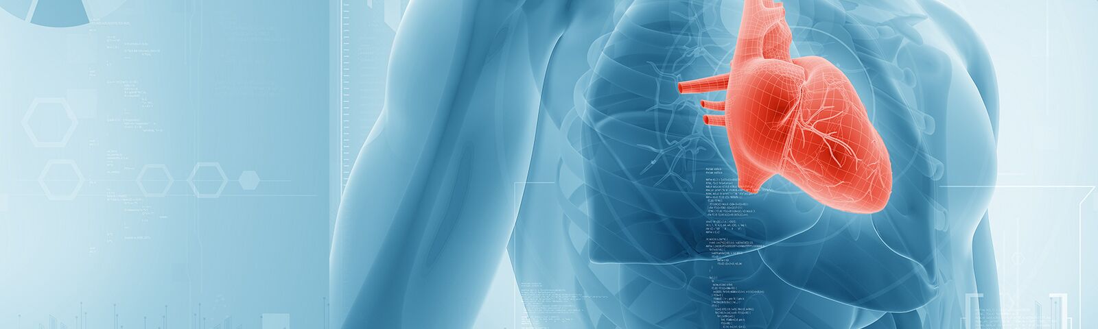 Illustration einer blauen Brust mit rotem Herzen